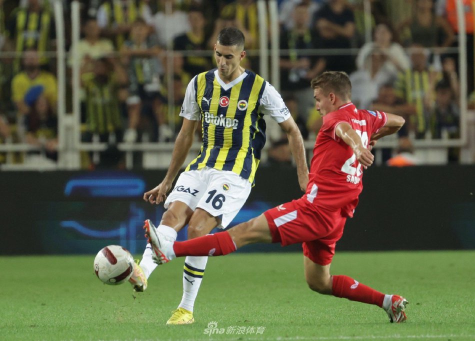 内的赞赏 内的赞赏